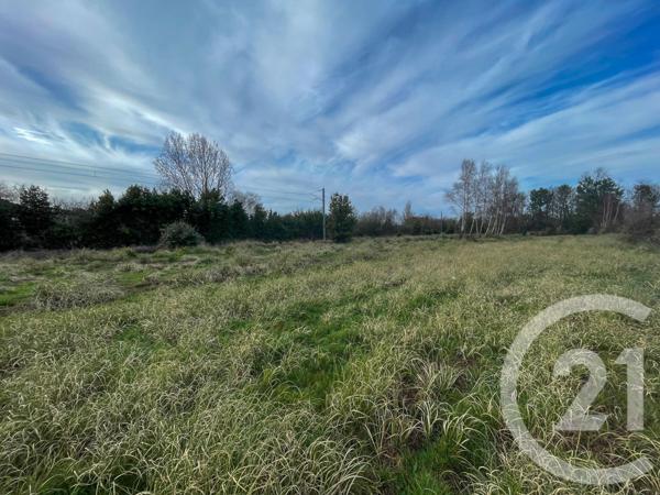 Terrain à vendre  1250 m2 OLONNE SUR MER - 85