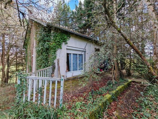 Maison contemporaine - La coquille Maison des années 70 sans voisin et terrain boisé