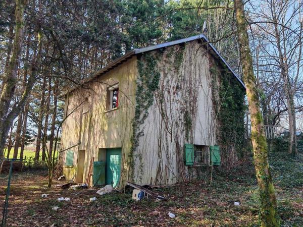 Maison contemporaine - La coquille Maison des années 70 sans voisin et terrain boisé