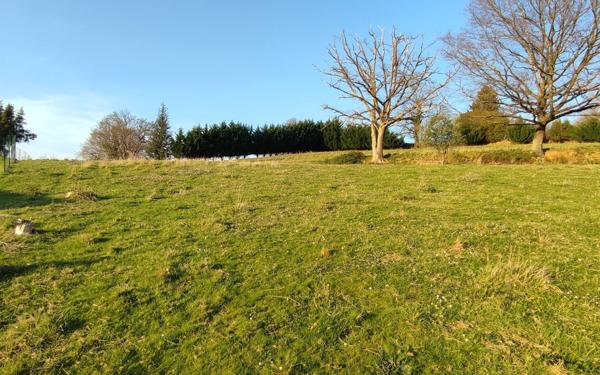 Terrain à vendre    Tournay