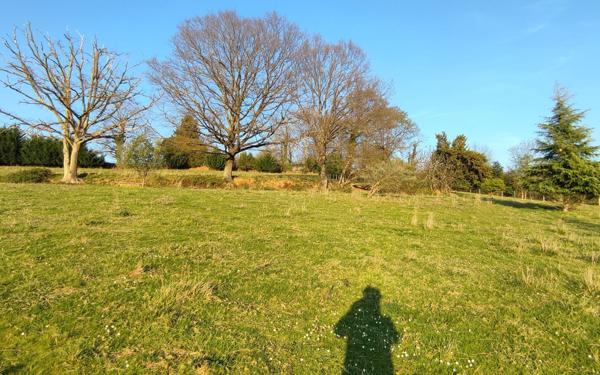 Terrain à vendre    Tournay