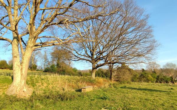 Terrain à vendre    Tournay