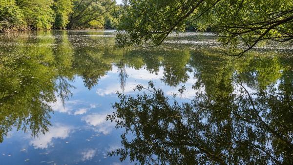 Étang sur 1,45 ha de terrain plat dans le Gers
