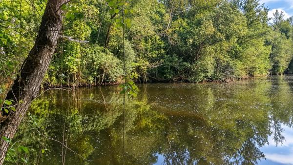 Étang sur 1,45 ha de terrain plat dans le Gers