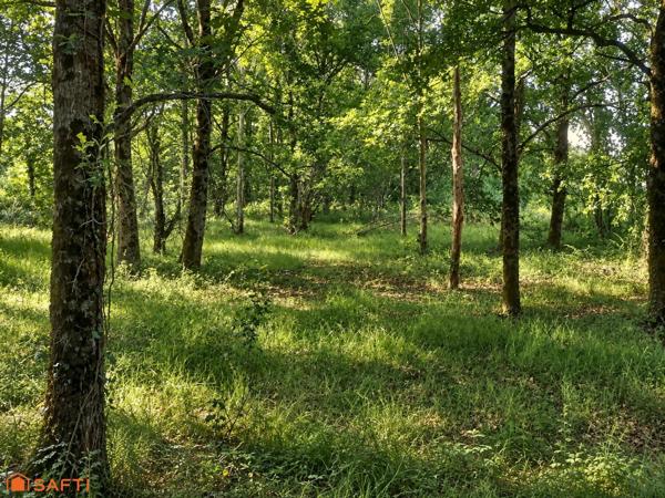 Étang sur 1,45 ha de terrain plat dans le Gers