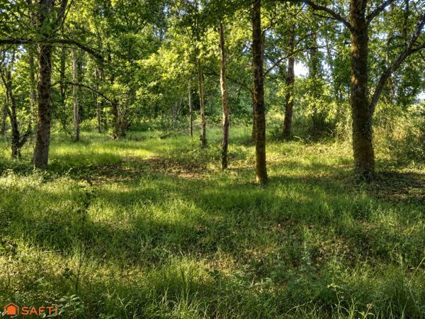 Étang sur 1,45 ha de terrain plat dans le Gers