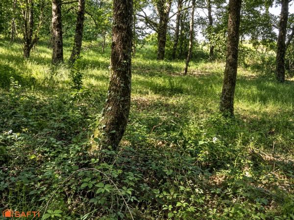 Étang sur 1,45 ha de terrain plat dans le Gers