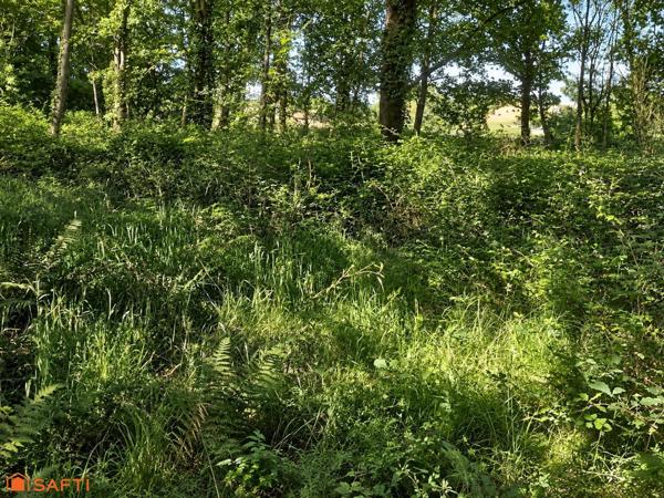 Étang sur 1,45 ha de terrain plat dans le Gers