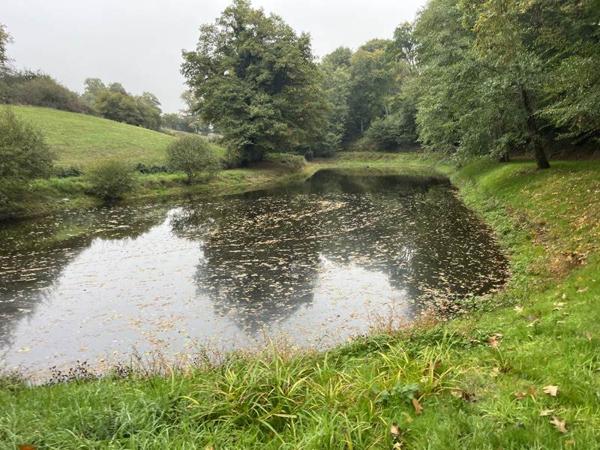 Terrain à vendre |  Saint-Priest-la-Marche |  5735 m²