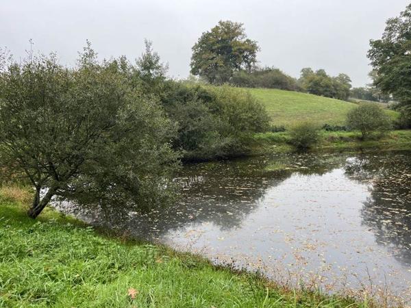 Terrain à vendre |  Saint-Priest-la-Marche |  5735 m²