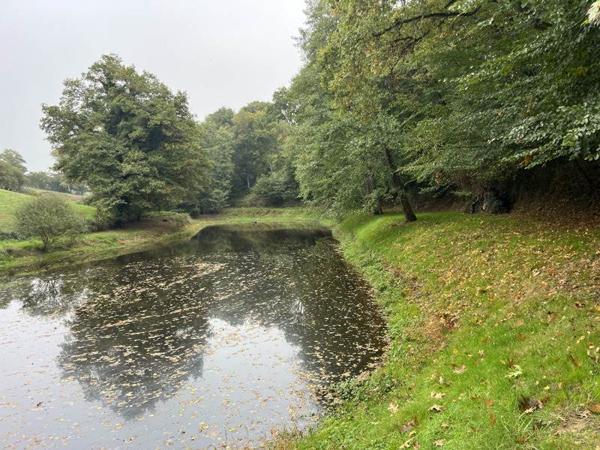 Terrain à vendre |  Saint-Priest-la-Marche |  5735 m²