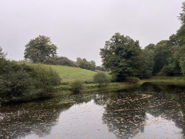 Terrain à vendre |  Saint-Priest-la-Marche |  5735 m²