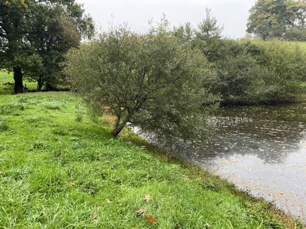 Terrain à vendre |  Saint-Priest-la-Marche |  5735 m²