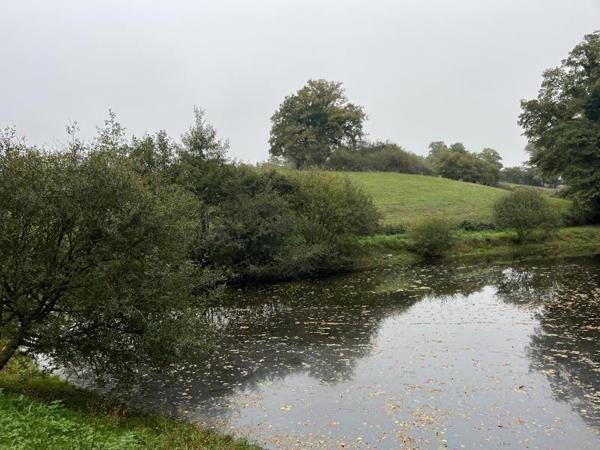 Terrain à vendre |  Saint-Priest-la-Marche |  5735 m²