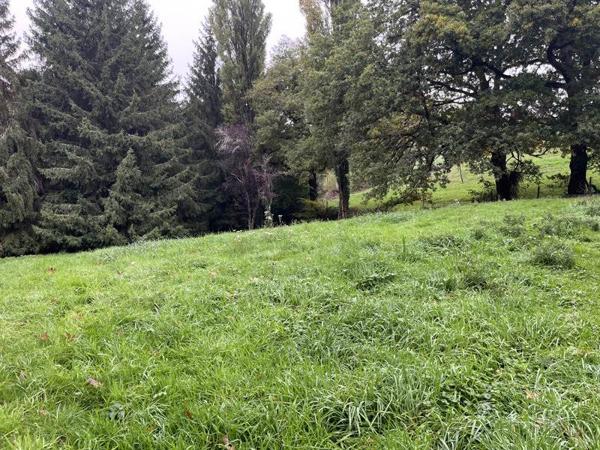 Terrain à vendre |  Saint-Priest-la-Marche |  5735 m²