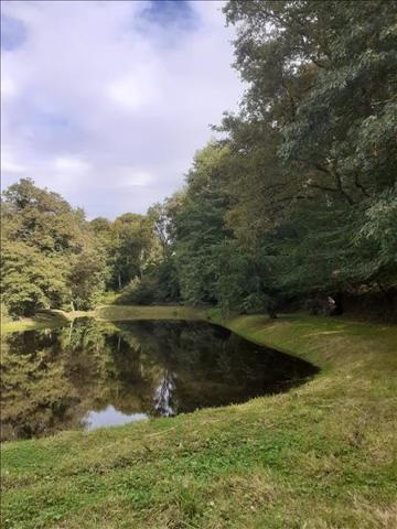 Terrain à vendre |  Saint-Priest-la-Marche |  5735 m²