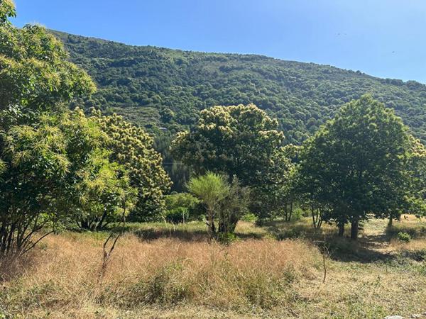Terrain constructible avec panorama sur les montagnes ardéchoises