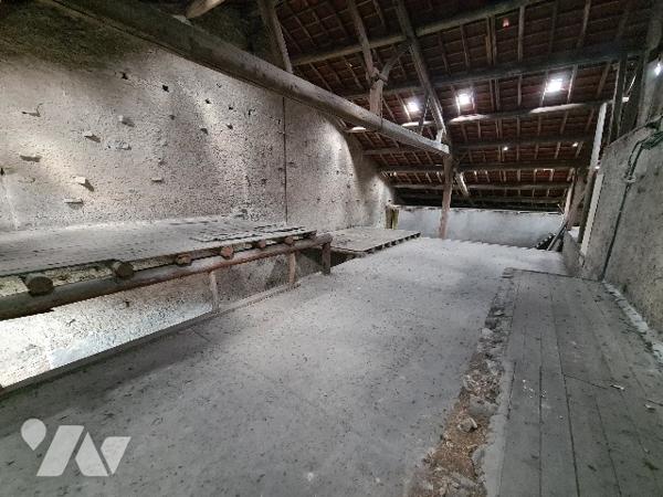 Maison indépendante - FORT POTENTIEL après rénovation - TOUL Jean Jaurès