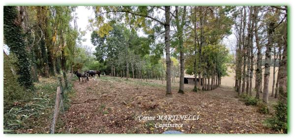 Propriete à vendre 22 pièces proche de AGEN (47) 4 habitations 885 m² + dépendances, 27 ha