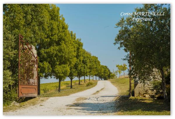 Propriete à vendre 22 pièces proche de AGEN (47) 4 habitations 885 m² + dépendances, 27 ha