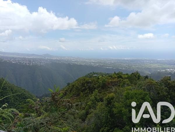 Terrain à vendre 16 014 m² Entre-Deux