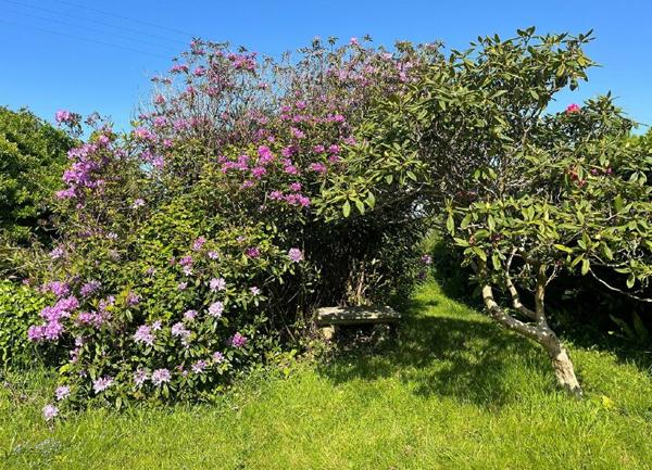 Maison à vendre    5 pièces •  Beuzec-Cap-Sizun