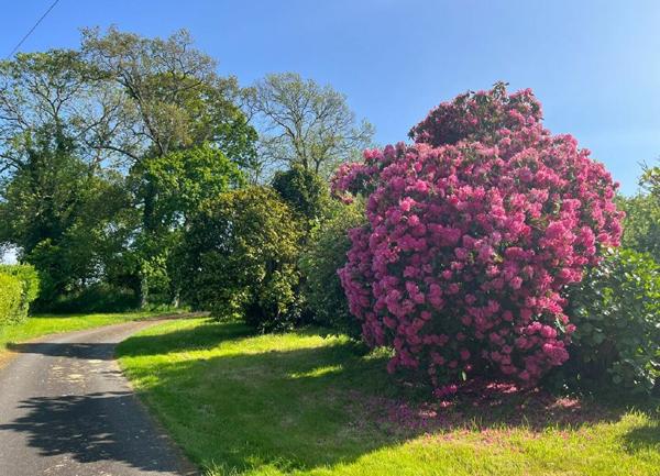 Maison à vendre    5 pièces •  Beuzec-Cap-Sizun