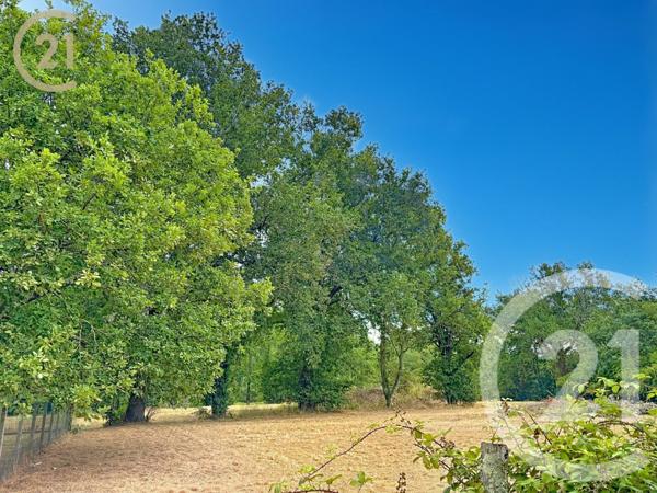 Terrain à vendre  3853 m2 MONTPON MENESTEROL - 24