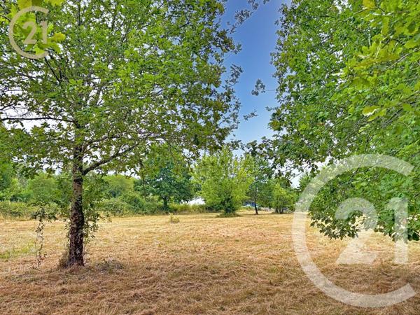 Terrain à vendre  3853 m2 MONTPON MENESTEROL - 24