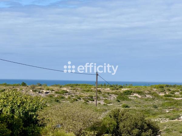 Appartement 3 pièces - 67 m² Exclusivité efficity