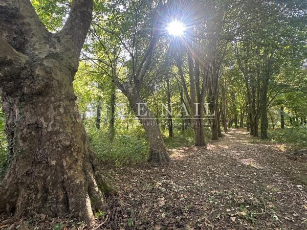 Charmant logis vendéen avec nombreuses dépendances dans le sud de la Vendée