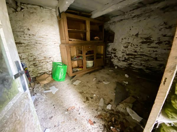 Monterfil (35160) Belle Longère en campagne