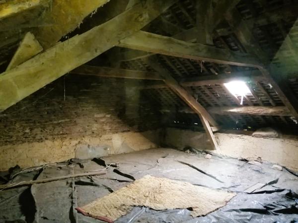 Monterfil (35160) Belle Longère en campagne