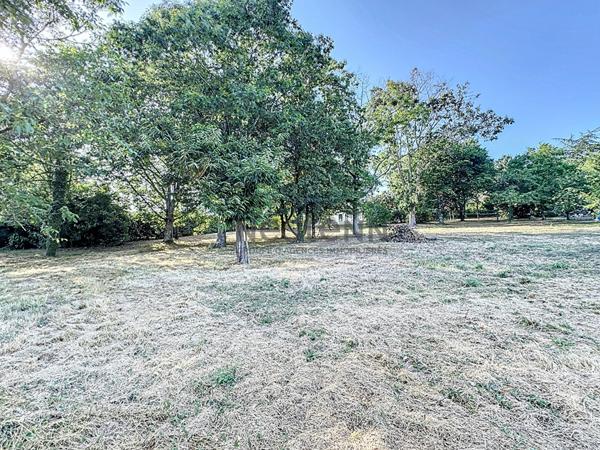 Maison familiale sur terrain de 2200m2 à vendre à Candé - plus de 200m2 - 4 chambres