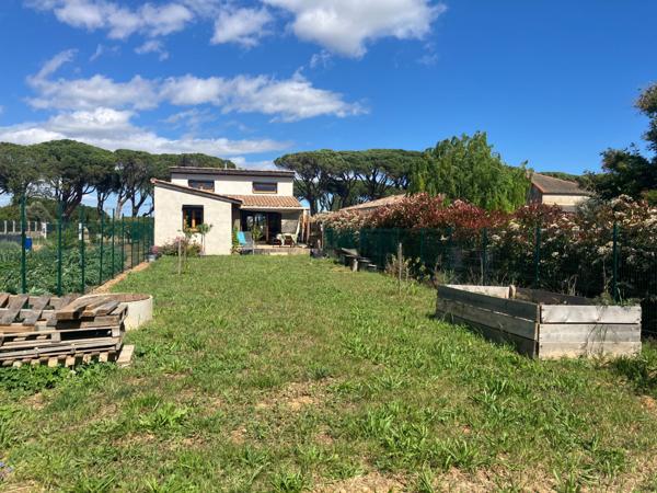 Maison 3 pièces à louer Sallèles d'Aude - 11590 / Réf: 2156
