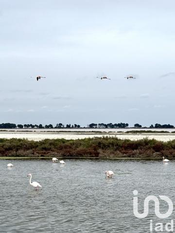 Studio 1 pièce de 21 m² à Le Grau-du-Roi (30240)