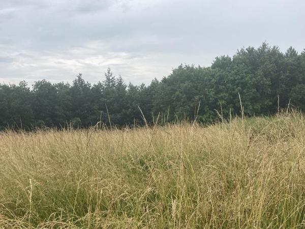 Maison à vendre |  Trélissac |  5 pièces | 82 m²