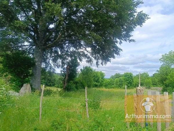 Vente                                                      Terrain
                        
                                         1686 m2                     à Saint-Laurent-de-Muret