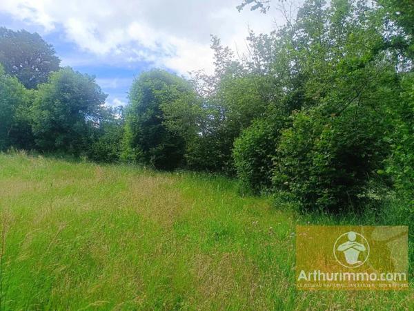 Vente                                                      Terrain
                        
                                         1686 m2                     à Saint-Laurent-de-Muret