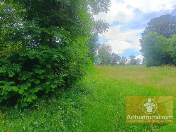 Vente                                                      Terrain
                        
                                         1686 m2                     à Saint-Laurent-de-Muret