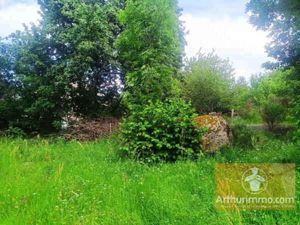 Vente                                                      Terrain
                        
                                         1686 m2                     à Saint-Laurent-de-Muret