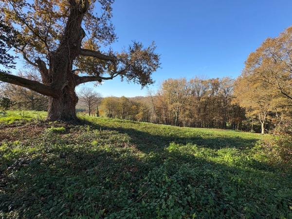 Maison à rénover 170m2 5 pièces AIRE SUR L'ADOUR (40)