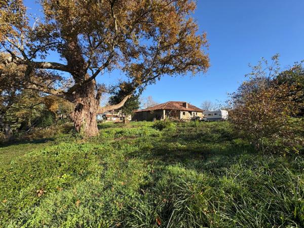 Maison à rénover 170m2 5 pièces AIRE SUR L'ADOUR (40)