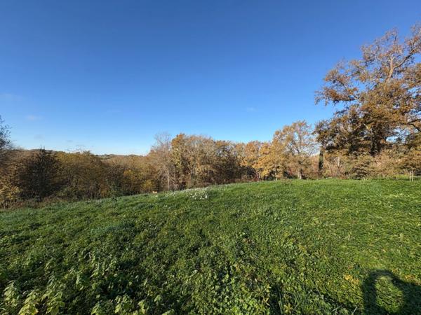 Maison à rénover 170m2 5 pièces AIRE SUR L'ADOUR (40)