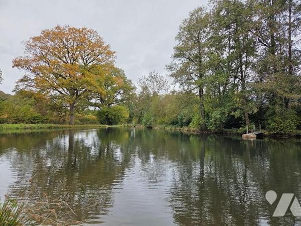 10 min. VILLAINES-LA-JUHEL (53), au calme, un terrain de loisirs sur lequel un plan d'eau d'une...