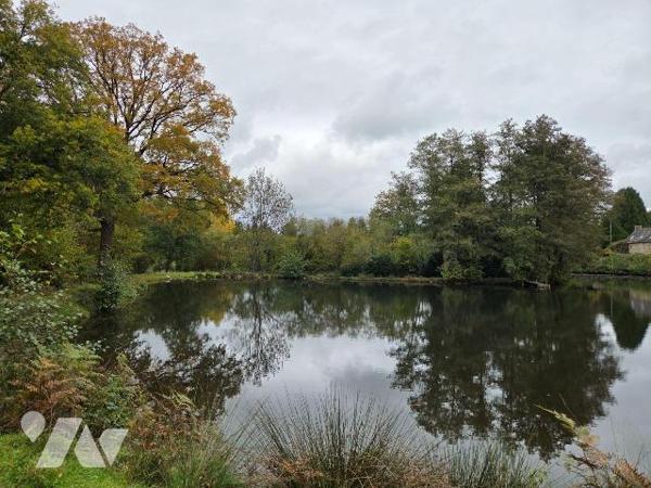 10 min. VILLAINES-LA-JUHEL (53), au calme, un terrain de loisirs sur lequel un plan d'eau d'une...