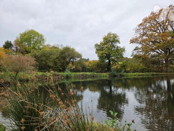 10 min. VILLAINES-LA-JUHEL (53), au calme, un terrain de loisirs sur lequel un plan d'eau d'une...