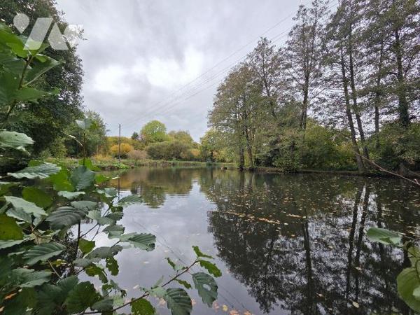 10 min. VILLAINES-LA-JUHEL (53), au calme, un terrain de loisirs sur lequel un plan d'eau d'une...