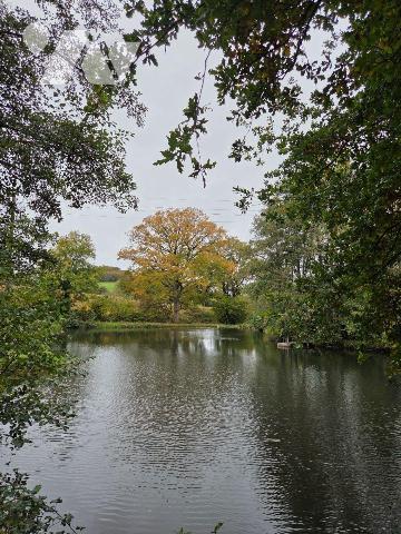 10 min. VILLAINES-LA-JUHEL (53), au calme, un terrain de loisirs sur lequel un plan d'eau d'une...