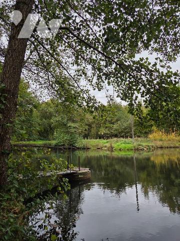 10 min. VILLAINES-LA-JUHEL (53), au calme, un terrain de loisirs sur lequel un plan d'eau d'une...